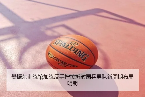 樊振东训练馆加练反手拧拉折射国乒男队新周期布局明朗